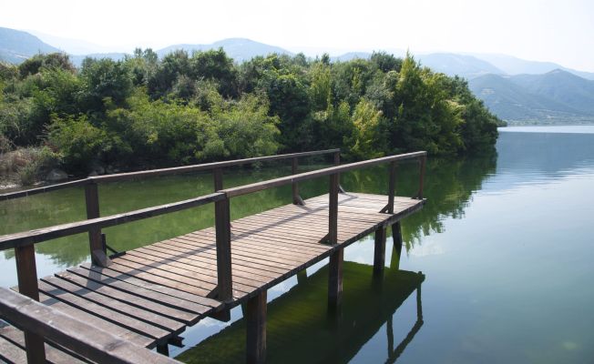 Περιβαλλοντική πολιτική